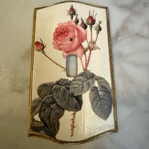Hand painted wood French Light Switch & Outlet Cover